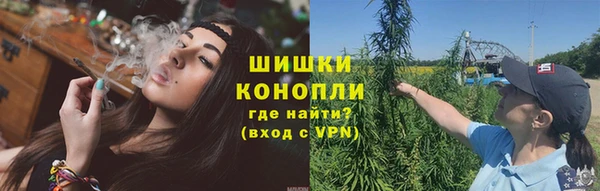 бошки Алзамай