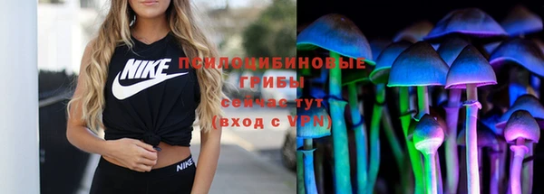 круглые Алексеевка