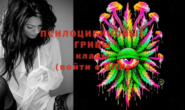 бошки Алзамай