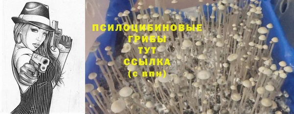 бошки Алзамай