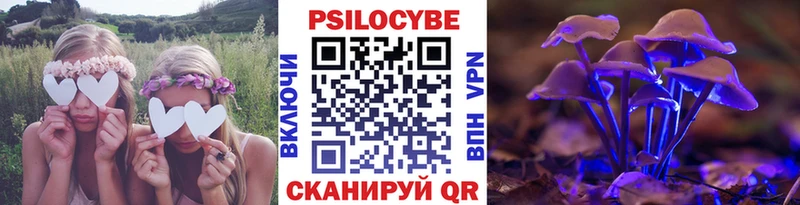 mega сайт Петушки Псилоцибиновые грибы мицелий купить сайты